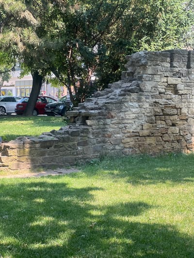 The image shows a portion of the ruins of the Princely Court of Iași, Romania. In the foreground, a section of a stone wall, part of the ancient fortifications, is visible. The wall is made of rough-hewn stones of various sizes and colors, showing signs of age and weathering. The stones are stacked in an irregular pattern, creating a textured surface. Behind the wall, a grassy area with dappled sunlight and shadows from trees stretches out. In the background, several cars are parked on a street lined with buildings, one of which has a Raiffeisen Bank sign. Lush green trees, including what appears to be a pine tree with its needles clearly visible, overhang the scene, casting shadows on the wall and grass. The overall impression is of a historical site integrated into a modern urban environment.