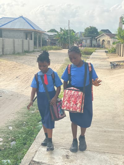Two young females, appearing to be school-aged, walk side-by-side in Mosafejaw, Nigeria. Both are dressed in blue short-sleeved shirts, dark blue knee-length skirts, black socks, and black low-top shoes. The female on the left wears a red tie and carries a dark, patterned shoulder bag, with a black backpack visible. The female on the right carries a prominent square-shaped shoulder bag featuring a red, white, and black abstract pattern, and a patterned backpack. Her left hand is slightly raised. They walk on a raised concrete pathway or curb. To their immediate left, an unpaved area of overgrown vegetation and scattered litter fronts a dirt road. In the background, various structures are visible under a light grey sky: an unfinished concrete block building with a light blue corrugated metal roof and a block wall on the left, and further right, other residential buildings, dense foliage, utility poles, and a slender minaret-like structure on the far right, suggesting a mosque. Distant figures, possibly children, are discernible near the background buildings.