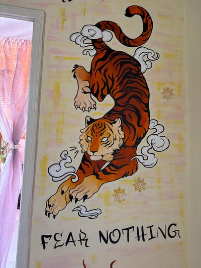 The image displays a mural painted on a wall, likely in an interior space. The mural features a dynamic depiction of a tiger, rendered in traditional East Asian art style, leaping amidst stylized clouds. The tiger is predominantly orange with black stripes and white accents on its face and paws. It has sharp claws extended, suggesting movement and power. The background of the mural consists of soft, abstract brushstrokes in yellow and pink hues, creating a textured and atmospheric effect. Subtle floral motifs are scattered across the background. Below the tiger, the phrase "FEAR NOTHING" is written in bold, black, stylized lettering. To the left of the mural, a portion of a window frame and pink sheer curtains are visible, suggesting the mural is located indoors, possibly in a home, shop, or cultural establishment. The image is well-lit, highlighting the details of the artwork.

Based on available information, this mural is located in the city of Svilengrad, Bulgaria. Specifically, it is found on the exterior wall of a building located at "Zhelezni Vrata" street in Svilengrad.