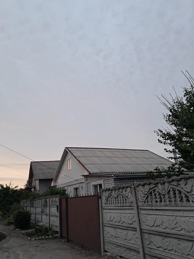 The image captures a residential street scene in Kremenchuk, Ukraine. In the foreground, a decorative concrete fence with intricate vine and grape leaf patterns runs horizontally across the frame. To the right of the fence, a tall, dark brown metal gate is visible. Beyond the fence and gate, two houses are partially visible. The house on the left has a gray corrugated roof and brick siding. The house on the right features a white exterior with a gray corrugated roof, and a single window with a red frame is visible on its gable end. Green foliage from trees and bushes surrounds the houses and the fence. The sky above is overcast with a soft, diffused light, suggesting it is either early morning or late evening. The overall atmosphere is quiet and suburban.