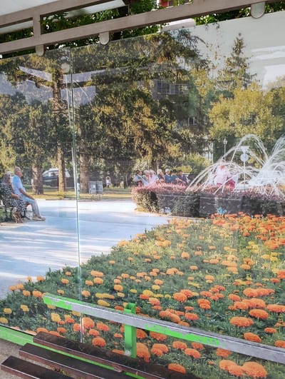 This is a photograph of a printed mural displayed on the glass walls of a bus stop shelter in Razgrad, Bulgaria. The mural depicts a scene of a park with a fountain, trees, and people. In the foreground of the mural, there is a large bed of orange and yellow marigolds. Behind the flowers, a fountain sprays water into the air. Several people are visible in the mural, some sitting on benches and others standing near the fountain. The mural also shows a paved walkway and a building in the background. The actual bus stop shelter has green metal supports and a bench with dark metal slats in the foreground, partially obscuring the mural. The lighting suggests it is daytime, with sunlight casting shadows. The overall impression is a vibrant, idealized park scene.