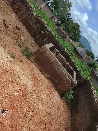 This image depicts a rustic scene in Sunkani, Nigeria, likely during the daytime given the bright, diffused light and visible clouds. The foreground is dominated by reddish-brown soil, with scattered small stones and dried grass, suggesting a dry, possibly arid environment. A few small green plants are beginning to sprout in this area, indicating recent or ongoing growth despite the dry conditions.

The main objects in the image are two long, trough-like structures made of concrete or a similar material. They appear weathered and somewhat dilapidated, with visible cracks and signs of age. These troughs are positioned side-by-side, facing towards the viewer and at an angle to the camera. Behind these troughs, there is a sloping area covered in lush green vegetation. This vibrant green contrasts sharply with the drier soil in the foreground.

Further back, a wall, also constructed from rough materials, separates the vegetation from what appears to be a small settlement. Several traditional-looking huts with thatched roofs are visible within this settlement. Tall trees with dense green foliage stand among the huts, and in the background, a lush green mountain or hillside rises under a partly cloudy sky. The clouds are white and puffy, suggesting a pleasant, possibly warm weather day.

There are no people visible in the image. The overall mood is one of rural simplicity and a connection to nature, with a hint of the challenges of maintaining infrastructure in this environment, as evidenced by the worn troughs. The scene offers a glimpse into a traditional way of life in a semi-arid or tropical region of Nigeria. No text is visible in the image.