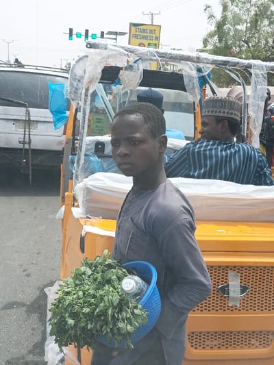 In Hotoro, Nigeria, a young male stands in the foreground, holding a blue plastic basket containing green leafy vegetables and a clear plastic water bottle. He wears a dark grey long-sleeved shirt. Behind him, an orange trishaw is present, partially covered in clear plastic sheeting. Inside the trishaw, an adult male in a blue and white striped shirt and a patterned cap sits, looking towards the right. A second individual in a dark blue cap is partially visible within the trishaw. In the background, a white van or SUV is parked on an asphalt road. Above, a yellow billboard displaying "STAINS OUT, FRESHNESS IN" is visible, along with traffic lights showing a green signal and overhead power lines. The sky is overcast.