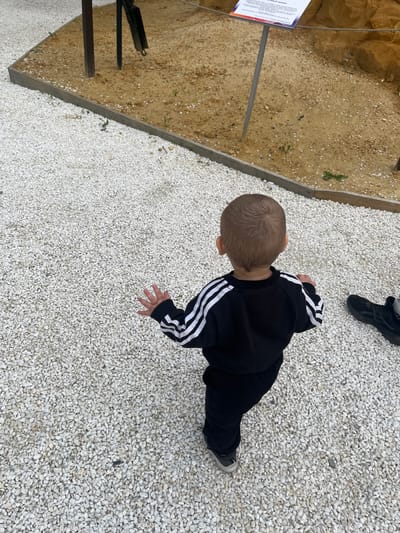 The image depicts a young child from behind, walking on a ground covered with small white pebbles. The child is wearing a black tracksuit with white stripes on the sleeves and black pants. A black shoe is visible on the right side of the image. In the background, there is a sandy area bordered by a wooden frame. Some structures, possibly part of an exhibit, and a sign are also visible in the sandy area. The image appears to be taken outdoors.