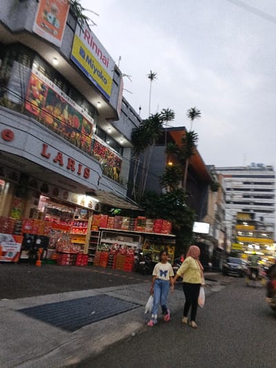 The image depicts an outdoor street scene in Bandung City, Indonesia, specifically at what appears to be Toko Laris on Jalan Otto Iskandar Dinata. The sky is uniformly overcast. In the left foreground, a concrete sidewalk features a rectangular metal grate. To the left, the multi-story "LARIS" building exhibits a ground-level retail area with numerous merchandise boxes and shelved items, including what appear to be packaged goods, extending onto the sidewalk. Above the ground floor, a large banner displays images of various fruits and vegetables. Higher on the building's facade, signs for "Rinnai" and "Miyako" are affixed.
In the midground, two females walk from left to right on the asphalt road. The individual on the left is a young girl, wearing a light-colored t-shirt with a blue butterfly graphic, blue jeans, and pink sneakers. She holds a white plastic bag in her left hand. The individual on the right is an adult woman, wearing a light yellow top, black pants, and a pink hijab. She carries a white plastic bag in her right hand and holds the young girl's left hand. In the blurred background, a street with moving vehicles is visible, along with a multi-story building characterized by horizontal window bands. Several slender, palm-like trees are present along the street and buildings.