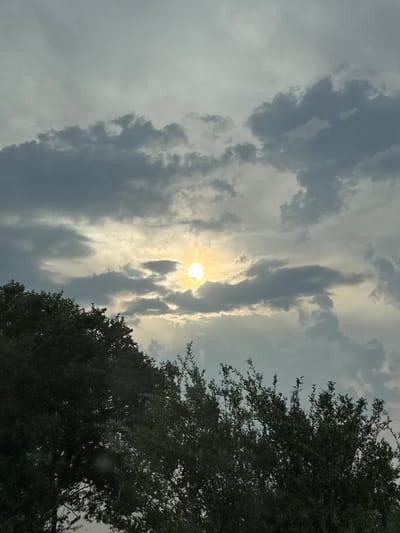 This is a vertical, outdoor, daytime photograph of a cloudy sky with the sun visible behind the clouds, as seen from Babovo, Bulgaria. The sun appears as a bright, glowing orb, partially obscured by dark, dramatic clouds that create streaks and patterns across the sky. There are lighter, wispy clouds interspersed with the darker ones, suggesting a dynamic weather system.
In the lower right portion of the image, the dark silhouette of a tree's dense foliage is visible, its branches reaching up into the sky. The tree is heavily shaded, and its leaves are not distinctly visible. The overall mood of the image is somewhat dramatic and atmospheric due to the interplay of light and shadow in the sky. The time of day appears to be either late afternoon or early morning, given the quality of light. No people, objects, or visible text are present in the image.