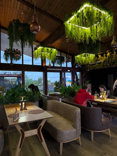 The interior of a restaurant or cafe in Kamyshin, Russia, presents a scene of contemporary design with natural elements. Two people are seated at a table engaged in drinking and conversing. A woman with long hair is dressed in black, while another person in a red hoodie sits facing her. The tables are arranged with brown placemats and modern, wooden-framed chairs.
Large windows overlook an outdoor area, with views of greenery, possibly a park or garden, visible through the glass. The ceiling is adorned with illuminated plant arrangements, creating a verdant canopy. Hanging from the ceiling are large, decorative light bulb fixtures. The interior appears to be well-lit and inviting.