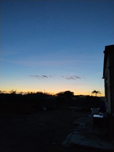 The image displays an outdoor scene at either dusk or dawn, characterized by a vibrant gradient sky and silhouetted foreground. The sky transitions from a deep, clear blue at the top, fading to lighter blues and subtle pinks, then dissolving into a warm golden-orange glow along the horizon, indicating the position of the sun just below the visible line. A sparse horizontal line of small, wispy clouds adds texture to the middle of the sky.
The lower half of the photograph is rendered in deep silhouette. A dark, undulating line of trees and dense bushes forms the immediate horizon, effectively obscuring the landscape beyond. In the mid-ground, towards the left, there is an indistinct pile of objects, possibly stacked materials or natural debris. On the far right, a dark, partial silhouette of a building, likely a house or a simple structure, frames the scene. Adjacent to this building, some outdoor elements resembling a sink or table are faintly discernible, with a hose lying on the ground nearby. Further in the distance, behind the main line of vegetation, faint lights and structures suggest a distant settlement or industrial area, with a distinct palm tree silhouette standing out on the right side.
No people are present, and no specific activity is taking place, lending a peaceful and static quality to the scene. The low-light conditions create a contemplative mood, emphasizing the natural beauty of the changing sky against the dark, earthy foreground. The setting appears to be a rural or semi-rural area, consistent with a location like Lo Ferro, Spain. There is no visible text in the image.