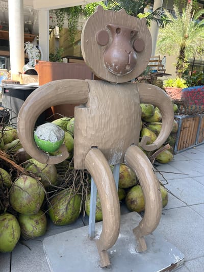 A weathered, wooden monkey sculpture is displayed outdoors in Baan Chaweng, Thailand, with a large pile of green coconuts surrounding its base. The monkey sculpture is crudely fashioned with a round head featuring circular ears and a stylized face, a square torso, and curved arms and legs. One of the sculpture's arms is positioned as if holding a single coconut, which is green and partially covered in a white, chalk-like substance. The surrounding coconuts are predominantly green, with some showing brown, fibrous husks and dried stems attached. The scene appears to be in an outdoor marketplace or a similar public area, suggested by the tiled ground, the presence of other vegetation in the background, and what appear to be display structures. The lighting indicates it is daytime, likely sunny, casting some shadows. No people are visible in the frame.