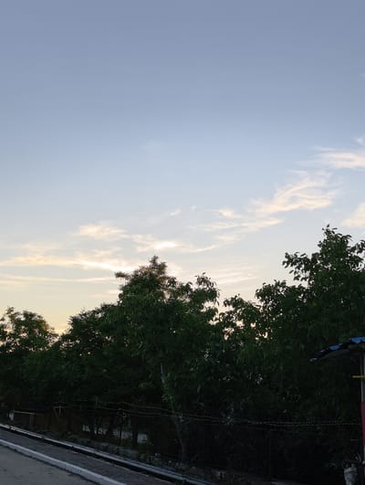 The image depicts an outdoor scene, likely in the city of Chaika, Ukraine, during what appears to be early morning or late evening based on the soft, diffused light and the pale sky. The upper portion of the image is dominated by a clear, light blue sky with a few wispy, light-colored clouds. The horizon is marked by a dense line of lush green trees, their foliage silhouetted against the sky. Some of the trees are taller than others, creating an uneven canopy.
Below the trees, a wire fence, possibly topped with barbed wire, runs horizontally across the frame. Behind the fence, there are hints of structures, including what looks like a small building or shed with a dark roof and wooden walls. In the lower left of the image, a concrete surface with white painted edges suggests a pathway or road. The overall impression is a natural landscape transitioning into a more built-up area. There are no people or animals visible in the scene. The environment appears calm and still.