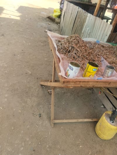 The scene depicts a market stall situated on an unpaved, light brown-grey dirt ground in Witeithie ward, Kenya. A wooden table, draped with a light-colored fabric sheet, holds a substantial mound of dried small fish. Positioned on the table are three metal cans: a white can displaying "FIESTA" and fruit graphics, a yellow can marked "ROYCO CUBES," and a plain silver-colored can. The ground is uneven, scattered with small stones and debris. In the background, a structure composed of corrugated metal sheets supported by wooden posts is visible. To the far left, indistinct yellow objects, possibly sacks, are present. In the lower right foreground, a yellow plastic container, appearing repurposed, rests on the ground with a dark, upright object secured within it. No individuals are directly visible in the immediate foreground or midground.