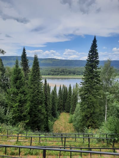 The image depicts a panoramic view of a lush, forested landscape with a wide river flowing through it. In the foreground, a black metal railing runs horizontally across the frame, separating the viewer from a grassy slope with a dirt path winding upwards. Several tall, dark green coniferous trees dominate the midground, interspersed with lighter green deciduous trees and bushes. The river is visible in the distance, with a sandy bank and a densely forested opposite shore. Beyond the river, rolling green hills stretch towards the horizon, under a sky filled with a mix of white and gray clouds against a bright blue background. The scene appears to be a natural landscape in a temperate climate, likely during the daytime. There are no people or animals visible in the image. The location is identified as Зеленогорский, Russia.