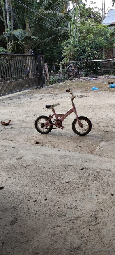 A small pink child's bicycle with white handlebars and a white seat is parked on a dirt surface. The bicycle has a chain and pedals, and the brand name "fun cycle" is visible on the frame. In the background, there is a metal fence, lush green trees, and a small building with a tin roof. A brown object resembling a chicken or bird is to the left of the bicycle. The overall scene suggests an outdoor environment in a residential area.