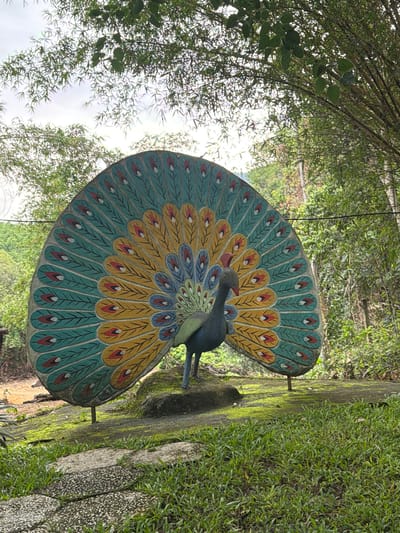 A statue of a peacock with its tail feathers fanned out is situated on a stone platform covered in moss. The peacock statue is dark blue with a red beak. The fanned tail feathers are painted in vibrant colors, including teal, yellow, blue, and red, with black accents. In the background, lush green trees and foliage are visible, suggesting an outdoor setting, possibly a park or garden. A stone pathway with grass growing between the stones leads towards the statue. The sky is overcast. The overall scene is natural and slightly weathered. The location is in Khanh Vinh, Vietnam.