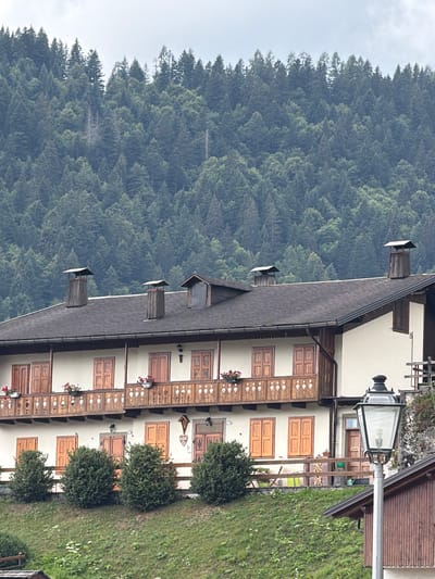 A multi-story building with a dark pitched roof and light-colored walls is situated on a grassy slope in Sauris di Sopra / Plozn / Sauris Disore, Italy. The building features wooden balconies with decorative railings on the upper levels and multiple wooden-shuttered windows. Several chimneys with wooden cladding rise from the roof. In front of the building, a row of manicured evergreen bushes lines the lower level. A street lamp with a black metal frame and glass panels stands to the right of the building. The background is dominated by a dense forest of evergreen trees covering a mountain slope under a cloudy sky.