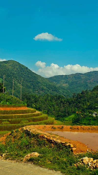This vibrant vertical image captures a panoramic view of a mountainous agricultural landscape in Thông Nguyên Commune, Vietnam. The scene is dominated by a clear, bright blue sky dotted with scattered white cumulus clouds, with one prominent, elongated cloud centered in the upper frame.

In the mid-ground and background, lush green, densely forested mountains rise majestically, showcasing varied terrain and deep valleys. The slopes are covered in a rich tapestry of trees, indicating a healthy, verdant environment. On the left side of the frame, several utility poles with power lines ascend a portion of the mountain, hinting at human infrastructure within the natural setting.

The foreground and mid-ground feature distinctive agricultural terraced fields, characteristic of the region. These terraces are carved into the hillside, displaying varying shades of green vegetation and exposed reddish-brown soil, suggesting recent cultivation or preparation. To the right, a large, reddish-brown body of water, likely a muddy rice paddy or irrigation pond, is visible, contained by an earthen bank reinforced with rough stones.

The immediate foreground shows a patch of green grass and foliage, with the edge of a grey road visible in the bottom-left corner. A few small, distant structures or houses can be faintly seen nestled among the trees on the far right mountain slope. The bright illumination suggests a sunny day, likely morning or early afternoon, contributing to the tranquil and picturesque atmosphere of the rural Vietnamese landscape. No visible text is present in the image.