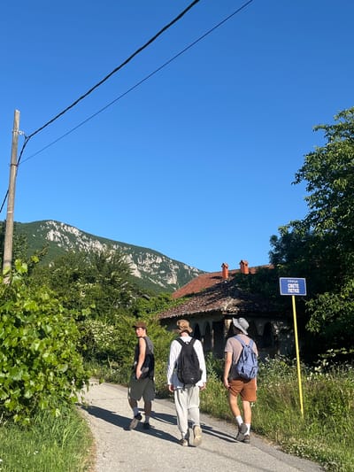 Three individuals are walking away from the camera on a paved road in a rural area. The person in the center, facing away, wears a white long-sleeved shirt and light-colored pants, carrying a black backpack and a tan hat. To their left, a person in a dark tank top, khaki shorts, and a brown hat faces slightly to the left, holding a phone and carrying a black backpack. To the center person's right, another individual wears a light brown t-shirt, orange shorts, and a wide-brimmed hat, carrying a blue backpack. The road is bordered by lush green vegetation on both sides, with a large leafy plant on the left and a dense green tree on the right. In the background, a traditional house with a tiled roof and two chimneys is partially visible. Further in the distance, a mountain range with rocky, scrub-covered slopes dominates the landscape under a clear blue sky. A wooden utility pole with wires is present on the left side of the image. A blue street sign with white Cyrillic lettering, reading "УЛИЦА СВЕТЕ ПЕТКЕ," is mounted on a yellow pole to the right of the road. The scene appears to be located in a village or rural settlement within the Petrovac-na-Mlavi Municipality, Serbia.