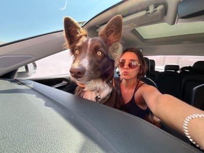 Inside a car with a sunroof, a young woman wearing sunglasses pouts for a selfie with her brown and white dog. The dog, with tall ears, is in the front passenger seat, looking directly at the camera. The dashboard is textured, and the interior is dark. A light-colored bracelet adorns the woman's wrist, visible in the selfie frame. Both are wearing seatbelts.