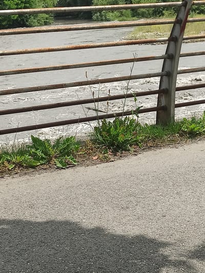 The image shows a section of a weathered metal railing, possibly along a pathway or embankment. The railing consists of horizontal bars, some showing signs of rust. To the right, a vertical metal support post is visible. Behind the railing, a body of water, likely a river with choppy, grey water, is present, with a bank of green vegetation and some sparse weeds growing in front of the railing. In the foreground, there is a paved pathway with a shadow cast across it. The scene suggests an outdoor environment, possibly a park or a riverside area. The location is identified as Vladikavkaz, Russia.