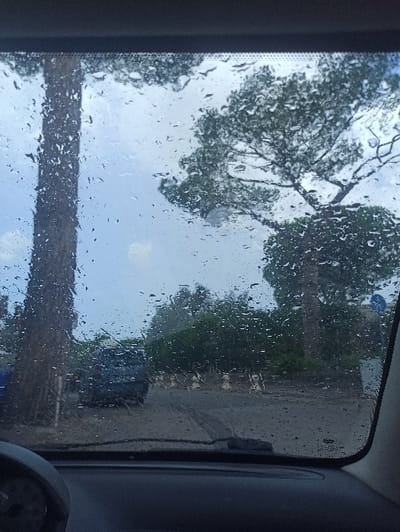 The image depicts an exterior scene viewed through a rain-splattered vehicle windshield in San Marzano sul Sarno, Italy. The sky above is overcast and light blue-grey, indicating daylight and rainy weather conditions. Raindrops are clearly visible across the entire windshield, distorting the view.
From the observer's perspective within the vehicle, the dark dashboard and a segment of a grey steering wheel are visible at the bottom of the frame.
Outside the vehicle, a tall, thick-trunked tree, dark in color, dominates the left side of the frame, extending vertically from the lower-left into the upper-left corner. To the right, another large tree with a sprawling, dense green canopy is prominently featured in the upper-right quadrant. Below these trees, a paved road or driveway, visibly wet, stretches across the midground. A dark-colored, possibly blue or grey, sedan or hatchback is parked or moving slowly on the left side of this road, partially obscured by rain and the foreground tree. Along the right edge of the road, a series of light-colored, short, cylindrical bollards or barriers are spaced evenly. Further in the background, dense green foliage from various trees and bushes forms a solid line, and a blue circular road sign is partially visible on the far right. No individuals are present in the scene.