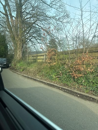 The image depicts a rural or semi-rural road in Bolton, United Kingdom, viewed from the interior of a vehicle. The asphalt road surface, lacking visible markings, occupies the lower and central portions of the frame. To the left, a dark-colored SUV, possibly an Audi, is partially visible, appearing to be parked or stopped on the side of the road, facing away from the camera. The foreground shows the dark frame and reflective surface of a vehicle's side window.
The right side of the road features a dense embankment of vegetation. This includes an extensive ground cover of dark green ivy, numerous bare deciduous saplings, and several small trees with dried brown leaves, indicative of late autumn or winter. Behind this vegetation, a light brown wooden panel fence runs horizontally across the midground. Further back and partially obscured by trees, the roofline of a building is visible.
On the left side of the road, a large, mature deciduous tree with a thick trunk and intricate bare branches dominates the upper left quadrant. The sky, visible above the trees, is clear and light blue. No individuals are visible within the scene.