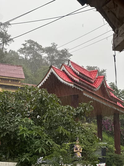 This image depicts an outdoor scene during heavy rainfall in Ban Paem Bok, Thailand. In the foreground, dense green foliage, visibly wet, partially obscures a light-colored vehicle and a statue of a kneeling figure in traditional Thai attire, rendered in purple and gold with hands in a *wai* gesture. The mid-ground features a traditional Thai building with multiple red-tiled gabled roofs adorned with ornate white and brown eaves, from which visible sheets of rainwater cascade. To the left, a portion of another structure with a dark red-tiled roof and intricate golden decorative elements is visible. A dense, verdant hillside covered in trees forms the background beneath a uniformly grey, overcast sky. Several black utility lines traverse the upper portion of the frame. No individuals are present.