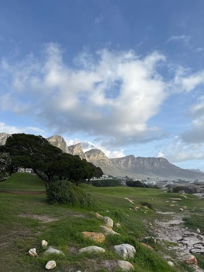 The image captures a landscape in Cape Town, South Africa, featuring the iconic Table Mountain range as a backdrop. A grassy terrain occupies the foreground, dotted with rocks and sparse vegetation. A cluster of trees is centrally positioned, with some housing visible in the mid-ground nestled along the foothills of the mountain. Above, the sky is filled with a mix of blue and white clouds. The photo is taken during daylight under a sky with varying cloud cover.