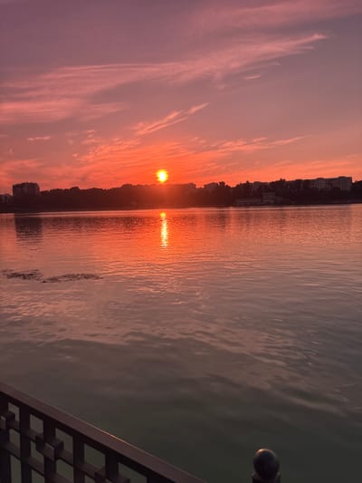 The image captures a sunset over a body of water, likely a river or lake, with a cityscape visible in the background. The sky is filled with streaks of pink and orange clouds, indicating the sun is low on the horizon. The sun itself is a bright, radiant orb, casting a shimmering reflection on the water's surface. The water appears calm, with gentle ripples disturbing its surface.
Along the edge of the water, a silhouetted treeline and buildings suggest an urban environment. The buildings are varied in height and design, hinting at a developed city. In the foreground, a decorative metal railing is visible, suggesting a public walkway or promenade along the waterfront.
The overall mood of the image is peaceful and serene, evoked by the warm colors of the sunset and the tranquil water. The time of day is clearly sunset, with the sun's position and the sky's colors being the primary indicators. The location is hinted at as Chișinău, Moldova, though no explicit text or landmarks confirm this within the image itself. The focus is on the natural beauty of the sunset and its reflection, contrasted with the urban backdrop. No people are visible in the frame.