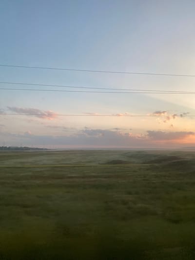 An outdoor, wide-angle, horizontal, eye-level, medium shot captures a vast, grassy plain under a pale blue sky with soft, pink-tinged clouds at the horizon. Three parallel, dark power lines stretch horizontally across the upper portion of the image, cutting through the sky. In the distance, silhouetted trees and what appear to be utility poles dot the landscape, forming a faint treeline against the softer hues of the sky. The foreground and midground are dominated by undulating, green fields, likely agricultural land, with a distinct yellow line running horizontally through the midground. The overall impression is of a serene, rural landscape during either sunrise or sunset, potentially in the region of Taraclia, Moldova, given the vast, open plains characteristic of the area. No people or specific actions are depicted in the scene; it is a static environmental photograph.