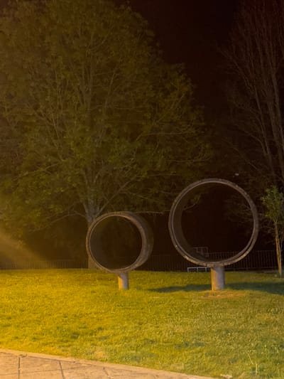 Here's a forensic description of the image:
The image shows two large, concrete pipe sections or culverts, positioned near a grassy area and a sidewalk. To the left of the frame, there is dense foliage, possibly trees or bushes, and what appears to be a dark background that could be a forested area or nighttime. The lighting is dim, indicating the photo was taken during the evening or night.
It is not possible to determine the location in the city of Vila Real, Portugal.