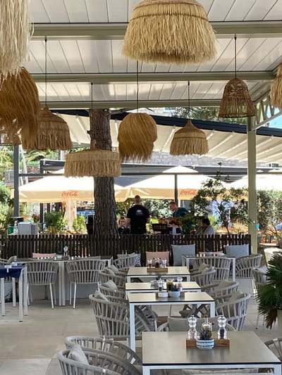 The image depicts an outdoor seating area of a cafe or restaurant in Petrovac centar, Montenegro. The scene is set under a white retractable roof, with several large, straw-like lamps hanging from above. The foreground is dominated by tables and chairs. Most of the chairs are woven with a light-colored material, featuring grey cushions. The tables have metallic surfaces and white legs. On some tables, salt and pepper grinders, small potted plants, and oil dispensers are visible.
In the background, people are visible at various tables. One table features a Coca-Cola umbrella. A man in a dark t-shirt is standing, and another man in a blue t-shirt is leaning forward, seemingly interacting with someone at a table. Several other individuals are seated at tables, some partially obscured by foliage and other structures. The environment appears to be lush with greenery, with trees and bushes surrounding the outdoor seating. The overall impression is that of a relaxed, open-air dining establishment.