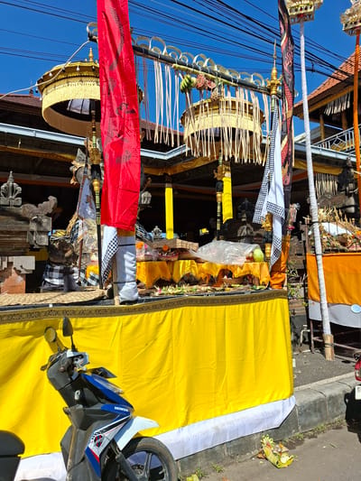 This media file depicts a street scene in Blahbatuh, Indonesia, likely during a religious or cultural event. The foreground is dominated by vibrant yellow and red banners, adorned with intricate gold trim. These banners are suspended from poles and appear to be part of a procession or temporary structure. Interspersed among the banners are various decorative elements, including what appear to be woven straw ornaments, incense sticks, and possibly offerings of fruit.

Behind the banners, glimpses of traditional Balinese architecture are visible, characterized by wooden beams and tiled roofs. The presence of numerous electrical wires overhead suggests an urban or semi-urban environment.

In the lower right of the frame, a motorcycle is partially visible, with the word "HONDA" clearly displayed on its fairing. This indicates the presence of modern transportation alongside the traditional cultural display. The ground is paved with concrete and asphalt, with some sparse vegetation growing at the edge. A small offering, made of leaves and flowers, is placed on the ground near the curb, a common practice in Bali.

The bright sunlight and clear blue sky suggest it is daytime, likely mid-morning or afternoon, under fair weather conditions. The overall scene conveys a sense of festivity and cultural importance, with the elaborate decorations and offerings pointing towards a significant local ceremony or celebration. No people are clearly visible in the frame, but their presence is implied by the setup.