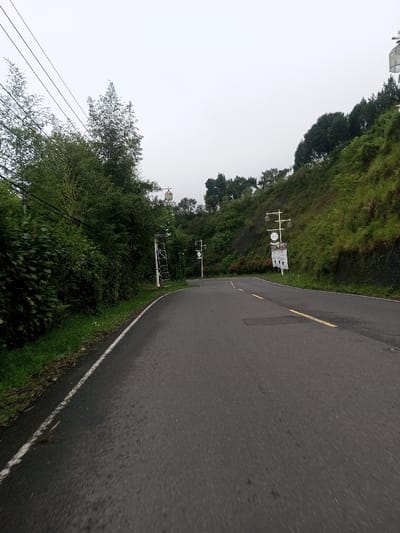 The image depicts an asphalt mountain road curving through a dense, green landscape under an overcast sky in Deothang, Bhutan. The road shows signs of dampness and features a white solid line on the left edge and a double yellow solid line centrally in the mid-ground. Repairs are visible as darker asphalt patches on the road surface. Steep, vegetation-covered hillsides flank the road, with dense trees and bushes on the left and a steep, terraced slope on the right. Utility wires are strung across the upper left. Multiple decorative white streetlights or architectural elements, resembling traditional Bhutanese design with lantern-like tops, are positioned along the road on white posts. A white monument or small stupa-like structure with a decorative top and an attached light fixture is visible on the right side of the road further down. No individuals or vehicles are present.