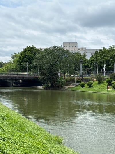 The image depicts a canal in Huangpu District, China, under an overcast sky. The canal's water is a murky green and exhibits rippling textures. The left bank of the canal is densely covered with vibrant green grass and some low-lying plants. The right bank is a manicured lawn with several rounded bushes. Further back from the right bank, a circular orange life preserver is visible, and a red life preserver with a white stripe is mounted on a post. A bridge with a dark gray surface and concrete supports spans the canal. Behind the bridge and trees, a multi-story white building with numerous windows is visible, topped by a tall antenna. The area is lined with mature trees, some of which are lush and green, while others appear denser and darker. Electrical poles and wires are present in the background. The overall scene conveys a tranquil, urban park-like environment.