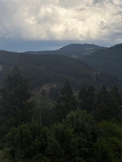 The image captures a vast, verdant mountain landscape under an overcast sky. The scene is dominated by layers of forested hills and mountains, receding into the distance and creating a sense of depth.
In the foreground, dense canopies of dark green trees, appearing to be a mix of conifers and some deciduous varieties, frame the right and bottom edges of the image. Their foliage is rich and detailed, showcasing various shades of green. Further into the mid-ground, a single birch tree with its distinctive white bark stands out amongst the darker trees.
Beyond the immediate forest, rolling mountain ridges are covered in thick, dark green woodland, extending far into the background. The diffused light of the cloudy day lends a hazy, atmospheric quality to the distant slopes, making them appear slightly bluish. On one of the mid-distance slopes, several electrical transmission towers are visible, their metallic frames standing tall against the forested backdrop, signifying human infrastructure within the natural expanse.
The sky, occupying the upper portion of the frame, is filled with thick, textured grey and white clouds. The heavy cloud cover suggests an overcast day, providing soft, diffused lighting across the entire scene. The horizon line where the mountains meet the sky is gently blurred by atmospheric haze.
The overall impression is one of a serene and rugged natural environment, likely in the mountainous region of Devin, Bulgaria, characterized by its dense forests and dramatic cloudy skies. There are no visible people, specific activities, or text in the image.