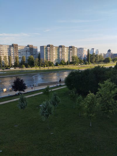 This is an outdoor, eye-level, vertical shot of a cityscape with a river, apartment buildings, and a park area. The time of day appears to be late afternoon or early evening, given the soft, warm light and long shadows. The sky is clear and blue with a few wispy clouds.

The main subjects are several tall, uniform apartment buildings that stretch across the middle ground of the image. These buildings have a uniform architectural style, typical of Soviet-era construction. In front of the apartment buildings, a road is visible with parked cars and what appear to be streetlights.

A wide river flows in front of the apartment buildings, with its surface rippled by a gentle breeze. The river has a walkway along its bank, with a dark metal railing. A few people are visible on the walkway, appearing to stroll or stand.

In the foreground, a grassy park area is present, dotted with several young trees. The grass is well-maintained, and a paved pathway winds through it. A dark-leaved tree stands prominently near the riverbank in the foreground, contrasting with the lighter green of the grass.

Further in the distance, beyond the apartment buildings, more structures are visible, including what appears to be a domed building, possibly a religious structure. The overall scene suggests an urban environment with accessible green spaces and waterfront amenities, likely in Kaliningrad, Russia, as indicated by the location context. No visible text is present in the image.