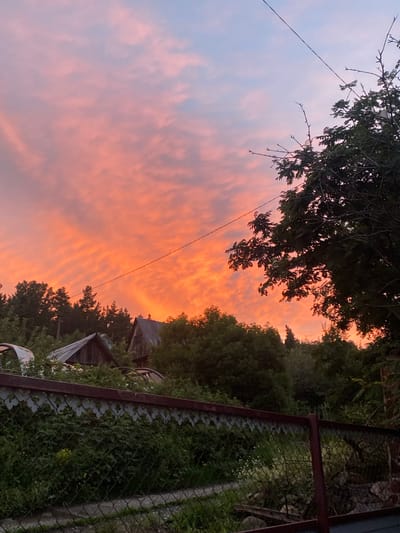 The image depicts a rustic scene at dusk in Uchaly, Russia, characterized by a vibrant sunset painting the sky with hues of orange and pink. The foreground is dominated by a weathered, wire-mesh fence with a decorative, scalloped metal trim. Beyond the fence, dense green foliage and overgrown bushes obscure much of the ground.
In the mid-ground, the roofs of two traditional wooden houses are visible, their weathered grey surfaces contrasting with the lush greenery. One house appears more dilapidated than the other. Scattered amongst the foliage are what appear to be abandoned vehicle parts, including curved, metallic structures, suggesting a state of disrepair or disuse. A single strand of electrical wire stretches diagonally across the upper portion of the frame, adding a touch of modern infrastructure to the otherwise rustic setting.
The background is filled with a dense line of dark green trees, silhouetted against the dramatic twilight sky. The sky itself is the most striking element, with swirling clouds illuminated by the setting sun, creating a fiery spectacle. The overall impression is one of a remote, perhaps rural, residential area in Uchaly during a beautiful, colorful sunset. There are no people or animals visible in the image.