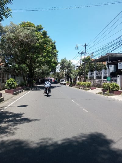 The image depicts a sunlit street scene in the city of Tagtse Tashidingkha, Bhutan, under a clear blue sky. An asphalt road, marked with a dashed white centerline and solid white edge lines, recedes into the distance. A single individual, wearing a light-colored hooded sweatshirt, rides a dark motorcycle away from the viewer in the near-center of the road. Tree shadows are cast across the foreground asphalt.
On the left side of the street, large, leafy green trees, some exhibiting red-orange blossoms, line the road, interspersed with concrete planters containing shrubs. A fence is visible behind the trees. Further down the road, additional vehicles, including a white utility vehicle, are present.
The right side of the street features concrete planters with green shrubs, followed by a white, decorative fence. Behind the fence stands a building with a porch or overhang, and a sign that appears to read "NOT JERRY" followed by obscured text. Several utility poles with ornate, cage-style streetlights rise above the fence line, supporting a dense network of black electrical or communication wires. More green foliage and residential structures are visible beyond.