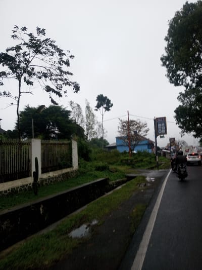 This image depicts a wet, overcast street scene in what is identified as Chagzam_Pam, Bhutan. The foreground features a dark, open concrete drainage ditch running parallel to the left edge of a wet asphalt road. Patches of green grass and small puddles are visible between the ditch and the road.
To the left of the ditch, a white fence with vertical metal bars and a stone base partially obscures dense, overgrown vegetation and a street lamp. A tall, dark, columnar cactus-like plant is visible against the white fence. Various trees with dark foliage stand against the light gray sky, dominating the upper left portion of the image.
On the right side of the road, two individuals on motorcycles, wearing dark clothing and helmets, are traveling away from the viewer. A white car is visible further down the road in the same direction. Elevated from the road in the mid-ground, a prominent, light blue building with a darker roof is visible amidst green foliage. To its right, a tall, dark vertical street sign with multiple illuminated panels displaying what appear to be advertisements or prices stands beside the road. Overhead, power lines are visible, stretching across the scene. The road surface is visibly wet with reflective puddles, indicating recent rain.