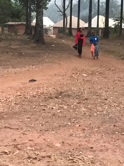 A dirt path stretches through an outdoor scene with several trees lining the edge. Two figures walk along the path, one wearing a red jacket and dark pants, and the other wearing a blue shirt and patterned skirt. There are a few buildings in the background. The ground is covered with fallen leaves and debris.