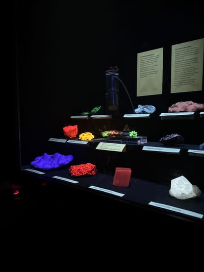 The image shows a display of fluorescent minerals in a dark environment, possibly a museum exhibit. Text labels and signs are present, indicating the names of minerals and information about radioactive materials. The text on the signs appears to be in German, potentially indicating the location is in Germany, specifically with reference to "Der Tagbau-Museum Washington/USA" and the "Schwarzwald". The fluorescence colors range from blue to green, orange, red, and yellow, suggesting a varied mineral composition.