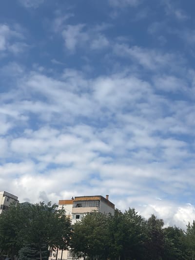 The image displays a view of buildings and trees against a sky filled with scattered clouds. The perspective is from below, looking upwards. On the right side of the image, the tops of several buildings are visible, with a prominent light-colored building with a dark-tiled roof and balconies. Adjacent to the buildings are lush green trees, some of which are taller than the structures. The sky is predominantly blue with numerous white, fluffy clouds. The lighting suggests it is daytime, likely late morning or afternoon, given the brightness and cloud formations. The scene appears to be an urban or suburban environment. No people are visible in the frame. There is no visible text in the image. The image is oriented vertically, with the sky occupying the majority of the left side and the buildings and trees on the right.