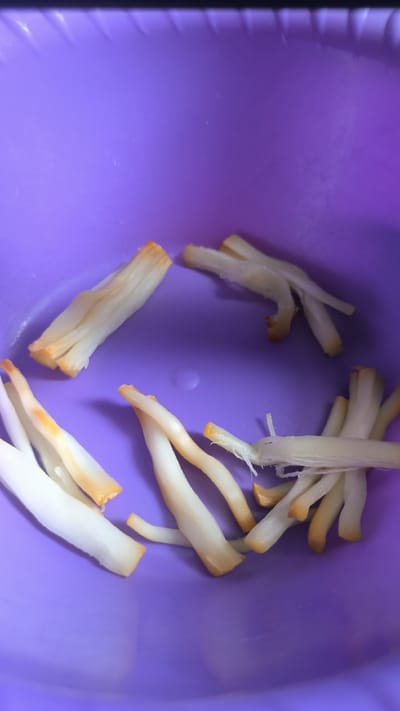 The image shows a close-up view of several white and orange strands of food, likely mushrooms, scattered in a purple bowl. The bowl appears to be plastic with a textured rim. The food items are elongated and appear to be segmented, with some strands fanned out and others clustered together. The lighting suggests an indoor setting, possibly a kitchen. There is no visible text in the image. The overall impression is of ingredients prepared for cooking or serving.