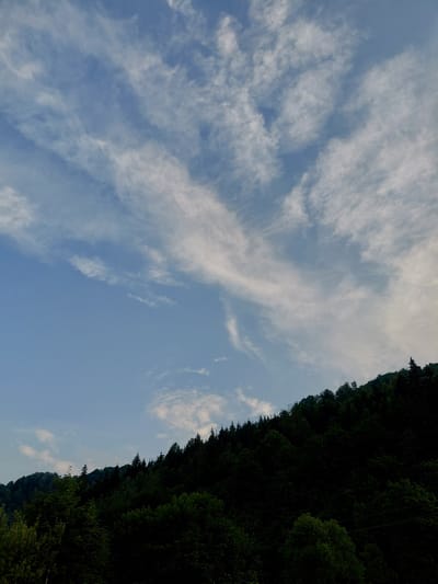 The image depicts a landscape with a dense forest covering a sloping hillside against a sky filled with scattered white clouds. The trees are a deep green, creating a dark silhouette against the lighter sky. The clouds are wispy and spread out, suggesting a partly cloudy day. The image does not contain any people, specific objects, or identifiable actions, and therefore cannot be placed in the city of Chernyk, Ukraine, or any specific location.