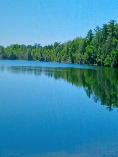 The image depicts a serene lake scene with a dense forest bordering its shore. The water is a deep, vibrant blue, reflecting the clear sky and the lush green foliage of the trees. The reflection on the water is sharp and clear, mirroring the tree line and the sky above. The sky is a uniform, light blue, suggesting a clear and sunny day. The overall impression is one of natural beauty and tranquility. The image does not contain any people, man-made structures, or specific identifiable landmarks, making it impossible to determine a precise location within Kielce, Poland, or any city.