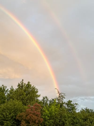 The image displays a vibrant double rainbow arching across a partly cloudy sky, observed in Tuchenitsa, Bulgaria. A prominent primary rainbow, rich with a full spectrum of colors, stretches across the center and lower-left portion of the frame. Above it, a fainter, secondary rainbow is discernible, though less vivid. The sky is mostly overcast with soft grey clouds, transitioning into warmer, yellowish-orange tones near the horizon where the primary rainbow is most intense, suggesting either early morning or late afternoon light (golden hour). On the right side of the image, the tops of dense green trees are visible, with one section of foliage featuring a distinct reddish-brown hue, adding a touch of color to the natural setting. The presence of the rainbows indicates recent rainfall combined with sunlight, creating a serene and picturesque post-weather scene. There is no visible text in the image.