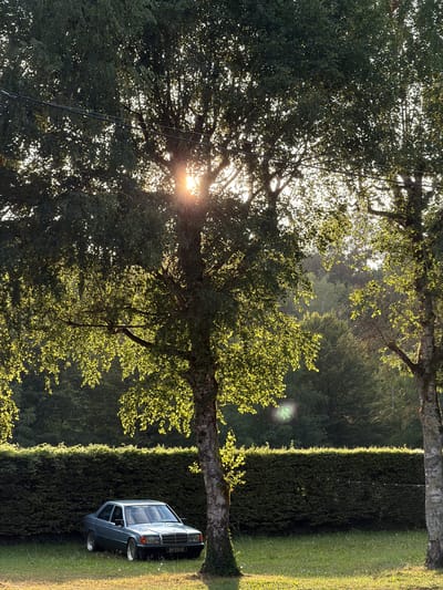 The image depicts a sun-drenched scene in Novalaise, France, likely during the late afternoon given the low angle of the sun and the golden light filtering through the trees. The foreground is dominated by a large, leafy tree with sunlight dappling through its branches, creating a luminous effect. To the right, a neatly trimmed hedge runs along the edge of a grassy area. Parked beside the hedge is a light blue vintage sedan, possibly a Mercedes-Benz 190. The car has a license plate that appears to read "AH 598 EHE". The overall atmosphere is peaceful and serene, with the natural beauty of the landscape enhanced by the warm, late-day light. The scene suggests a quiet moment, perhaps in a garden or a rural property, with no people visible.