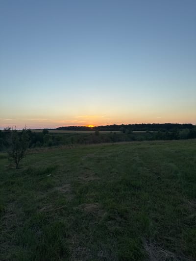 This is a landscape photograph taken during sunset in Horodyshche, Ukraine. The image is oriented vertically, with the sky occupying the left half and a grassy field and treeline on the right. The sun is low on the horizon, casting a warm, golden glow across the sky, transitioning from a soft blue at the top to shades of orange and pink near the horizon. Wispy clouds are visible in the upper part of the sky.
The right side of the image shows a dense treeline forming a dark silhouette against the brightly lit sky. In front of the treeline, there are fields of grass, some appearing long and dry, while others are greener and more manicured. A small, bare tree with visible branches is situated in the foreground of the grassy field, adding a touch of detail to the landscape. The overall mood is serene and peaceful, characteristic of a calm evening. The time of day is clearly sunset. There is no visible text in the image.