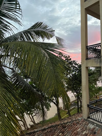 The image captures a serene view of a beachside location in Kathaluwa, Sri Lanka, during what appears to be dusk or dawn. In the foreground, large, vibrant green palm fronds dominate the left side of the frame, their pointed leaves creating a natural curtain. To the right, a section of a building with a beige exterior and a dark, ornate metal railing is visible, suggesting a balcony or terrace.
Beyond the palm fronds and building, a beach scene unfolds. The sand is a pale, muted tone, leading to the gentle ocean. Scattered trees with dark green foliage dot the landscape between the beach and the building, adding to the tropical ambiance. The sky above is a canvas of soft, muted colors, transitioning from a pale gray near the horizon to a delicate pink and lavender where the sun is setting or rising. Wispy clouds are scattered across the sky, catching the subtle hues of twilight. The overall impression is one of tranquility and natural beauty, characteristic of a coastal resort area in Sri Lanka.