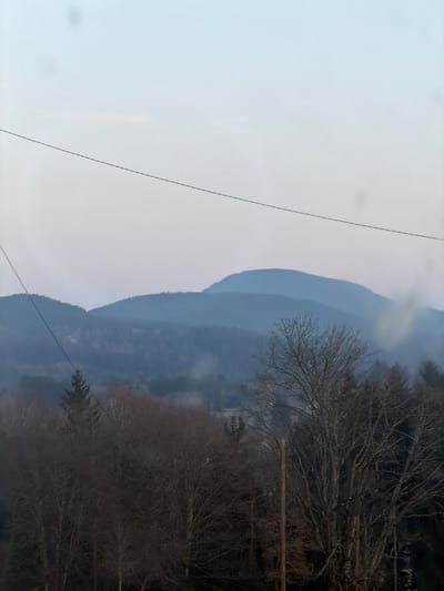 The image displays a panoramic landscape observed near Le Saulcy, France, under a pale blue-grey sky. In the distant background, multiple ranges of mountains or large hills are visible, characterized by varying shades of blue and grey due to atmospheric perspective. The midground and foreground are dominated by dense deciduous forests, with most trees appearing bare of leaves, suggesting a late autumn or winter season. Interspersed among the leafless trees are darker evergreen conifers. Several plumes of light grey smoke or mist are discernible rising from within the forested midground on the right side of the frame. Two dark, thin utility lines traverse the upper half of the image diagonally from left to right. A single, light-colored wooden utility pole is present vertically in the lower-right quadrant of the image. No people, animals, or specific actions are depicted.